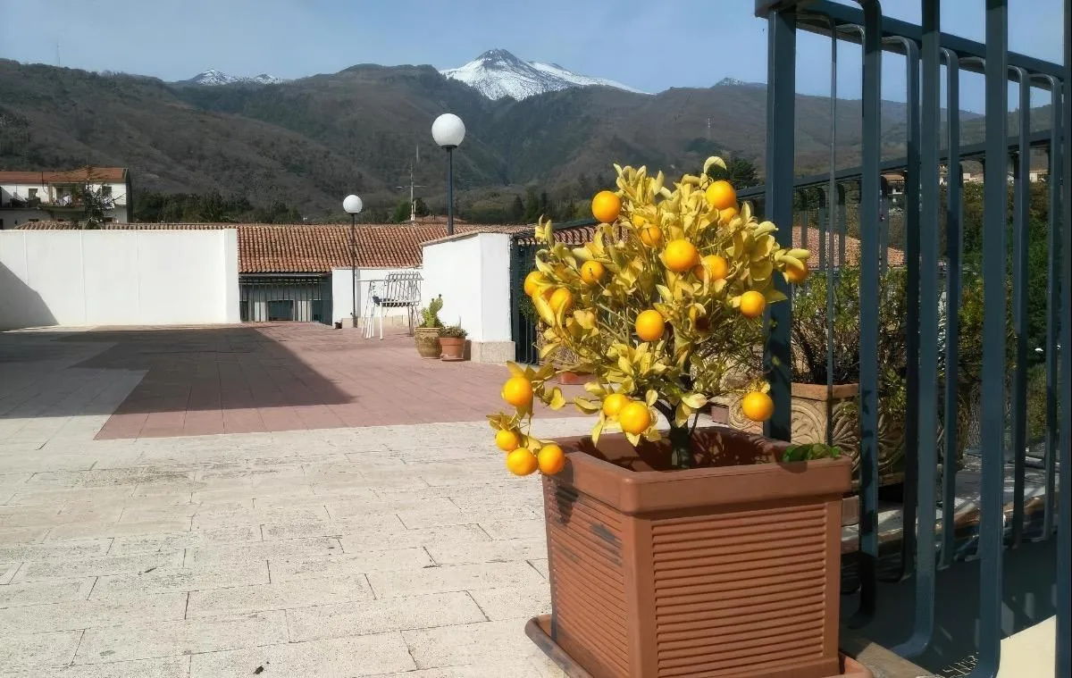 Cartoline dall'Etna B&B - Zafferana Etnea