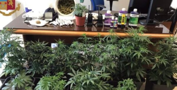 Piante di marijuana ben irrigate in una casa nel Trapanese: due arresti