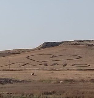 Il “crop circle” romantico a Butera: ma l’innamorato non è un alieno