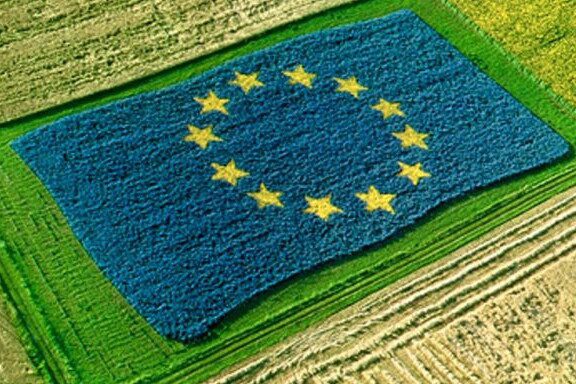 Truffa sui fondi Ue, confisca di beni e denaro per due imprenditori agricoli