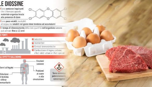 Allarme diossina a Palermo, l’ordinanza che vieta carne e uova e i rischi per la salute in caso di ingestione