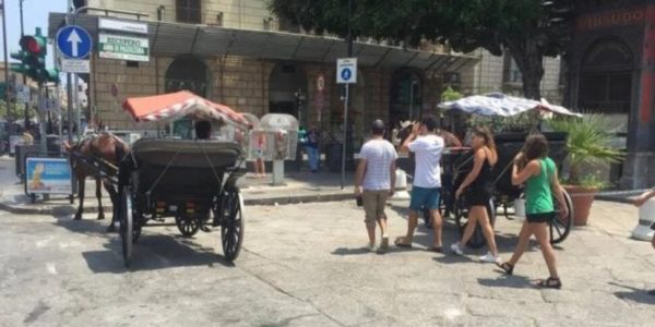 "Fa caldo non fate camminare il cavallo", animalista aggredita da un vetturino a Palermo