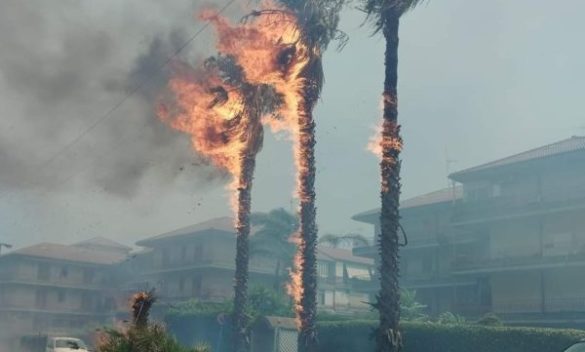 Catania e l’hinterland in fiamme: paura a San Nicolò, case e B&b evacuati