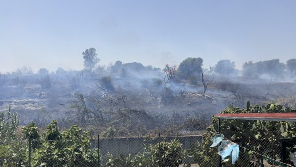 Catania, incendio minaccia le case in via Palermo: i residenti in strada per paura