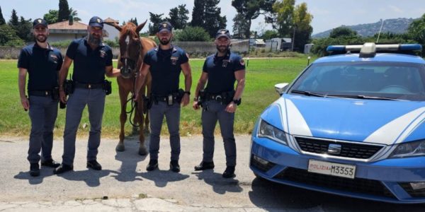 Cavallo di razza sparisce dalla scuderia a Palermo, ritrovato il giorno dopo dalla polizia