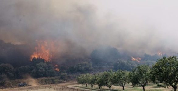 Emergenza incendi in Sicilia, brucia anche la riserva di Pantalica