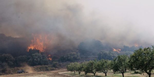 Emergenza incendi in Sicilia, brucia anche la riserva di Pantalica