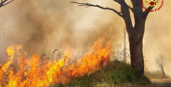 Emergenza incendi in Sicilia, Lagalla: «Sono reati gravi come quelli mafiosi, reati contro l’umanità»