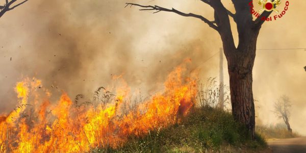 Emergenza incendi in Sicilia, Lagalla: «Sono reati gravi come quelli mafiosi, reati contro l’umanità»