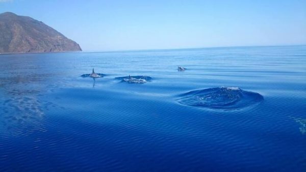 Eolie: Progetto "Blue oasis" per la salvaguardia del mare