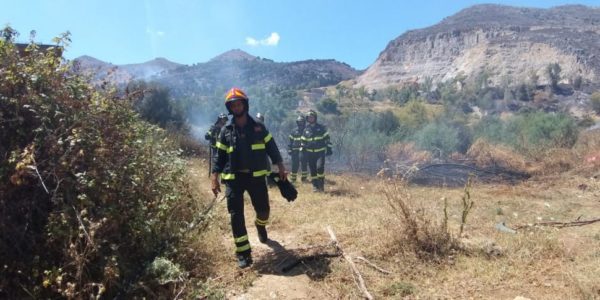 Ettari di macchia mediterranea in fumo nel Palermitano, roghi di rifiuti in città