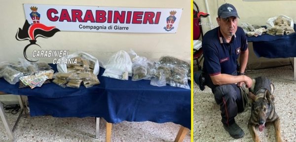 Giarre, 22enne gestiva un mini-market della droga: in casa aveva cocaina, hashish e marijuana