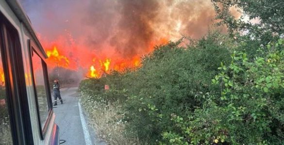 Il fuoco divora i boschi delle Madonie e minaccia di arrivare a Cefalù