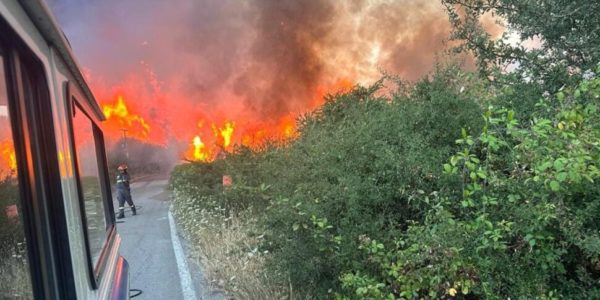 Il fuoco divora i boschi delle Madonie e minaccia di arrivare a Cefalù