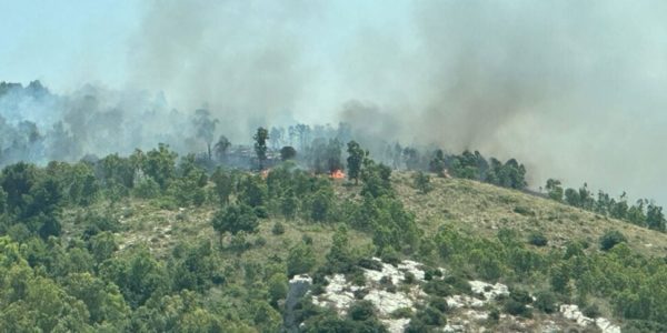 Il monte Bonifato brucia ancora, la riserva di Alcamo devastata: Canadair in azione