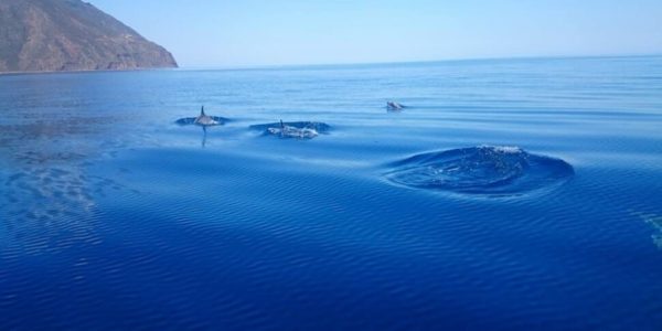 Alle Isole Eolie arriva il progetto delle oasi blu: selezionate le aree per la tutela del mare