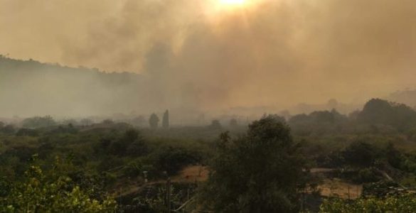 Incendi nelle riserve di Pergusa e della Timpa, roghi anche a Carini e Altofonte