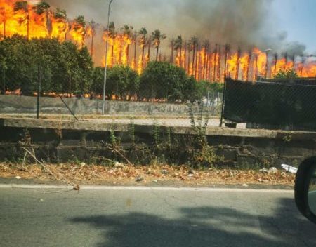 Inferno di fuoco nel Catanese: tratto dell’autostrada chiuso e traffico sulla Statale deviato