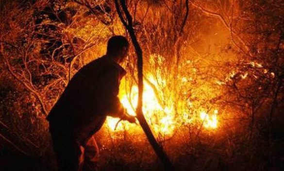 Appicca un incendio che distrugge 30 ettari di uliveti e tenta di corrompere un carabiniere