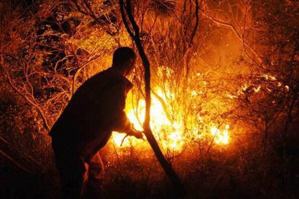 Appicca un incendio che distrugge 30 ettari di uliveti e tenta di corrompere un carabiniere