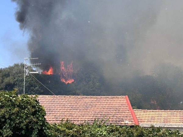 Incendio tra Acireale e Riposto: brucia un vivaio, evacuato un resort, abitanti in fuga dalle case