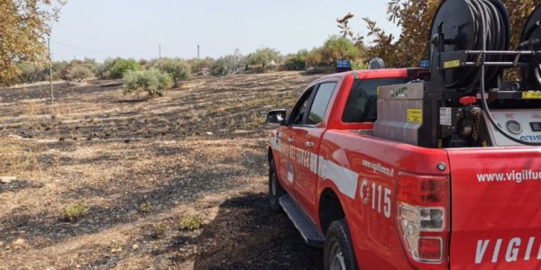 Inferno a Caltabellotta, pecore arse vive e 50 ettari di macchia mediterranea in fumo