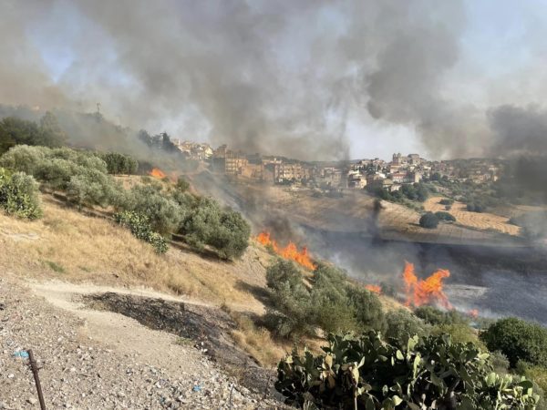 La Sicilia brucia per gli incendi: nel Nisseno distrutte case, campagne e canneti