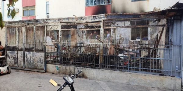 La casa bruciata a Palermo con tre cani morti nel rogo, la famiglia disperata: «Abbiamo perso tutto» - FOTO