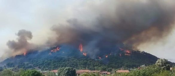 La pineta di Nicolosi prende fuoco tra allarme e dispiacere