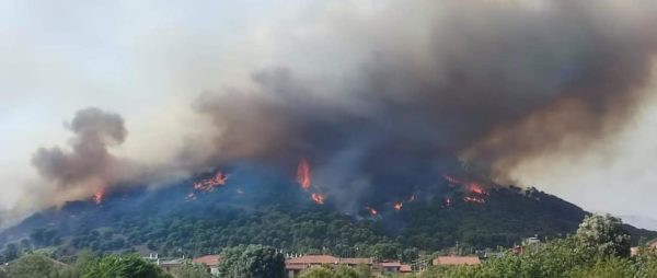 La pineta di Nicolosi prende fuoco tra allarme e dispiacere