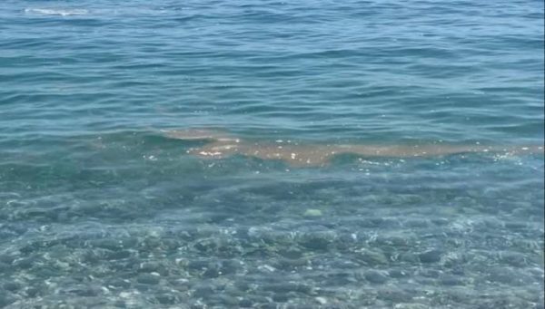 Mascali, nel mare di Fondachello spunta una macchia marrone: turisti in fuga