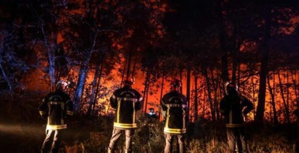 Messina, vigili del fuoco salvano un cane dagli incendi: era dentro una capanna in fiamme