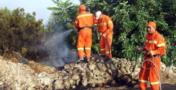 "Noi forestali lavoriamo su più fronti, ma siamo pochi e i mezzi sono vecchi"