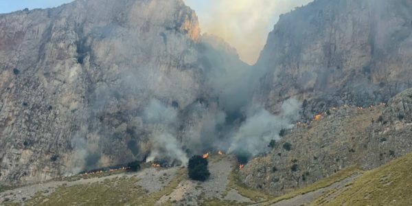 Palermo, paura anche a Capo Gallo: brucia la montagna che sovrasta la riserva