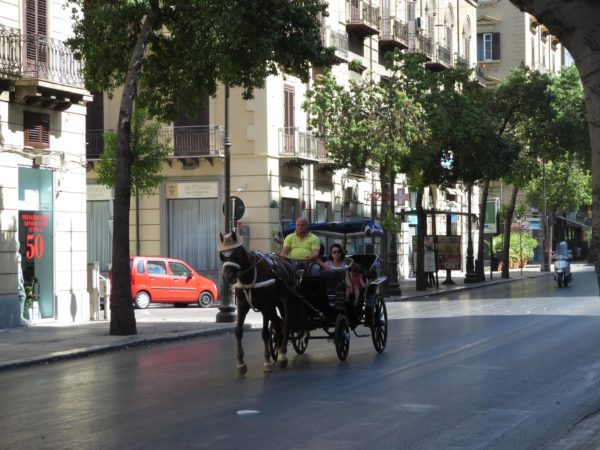 Palermo, animalisti contro il sindaco: «Fino a 37 gradi permette ai cavalli delle carrozze di circolare»