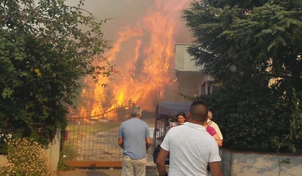 Palermo circondata dagli incendi: chiude anche l’aeroporto di Punta Raisi, voli cancellati