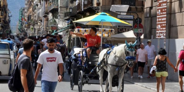 Palermo, nuovi limiti all'attività delle carrozze turistiche trainate dai cavalli