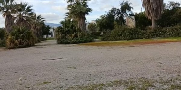 Palermo, il Comune: «Passi avanti per la bonifica del parco Cassarà»