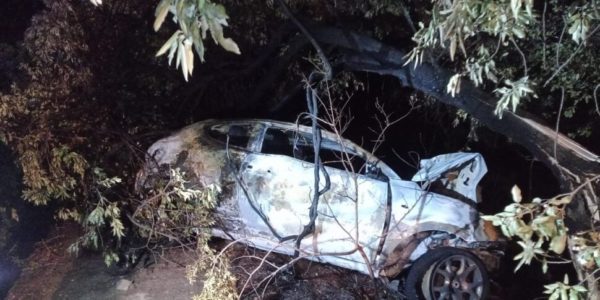 Palermo, con l'auto si schianta contro un albero in viale Diana: ventenne muore carbonizzato