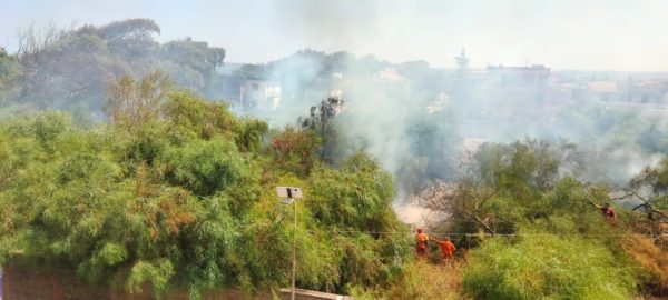 Paura tra i villeggianti per un incendio al Villaggio Cielo Azzurro: forestale e vigili del fuoco domano a fatica le fiamme