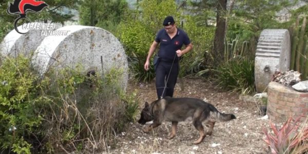 Racket della paglia e tentato omicidio a Gela: tre arresti e altre due misure cautelari