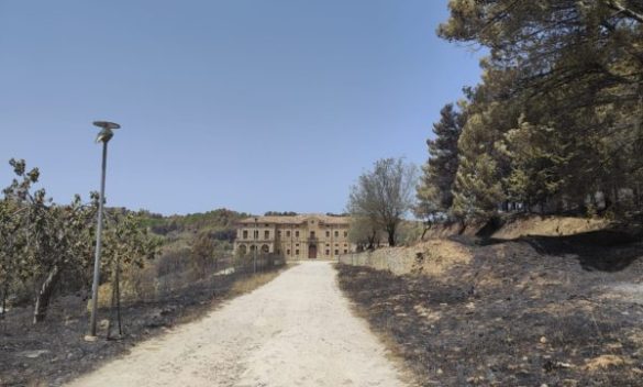 Incendi, Legambiente: «Roghi criminali nel parco Folistella a Enna»