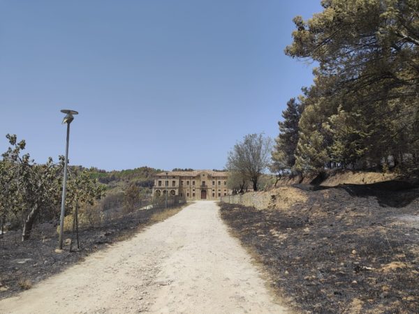 Incendi, Legambiente: «Roghi criminali nel parco Folistella a Enna»