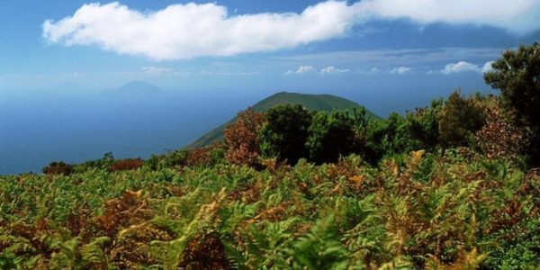 Salina, chiuso al transito il tratto iniziale della riserva naturale