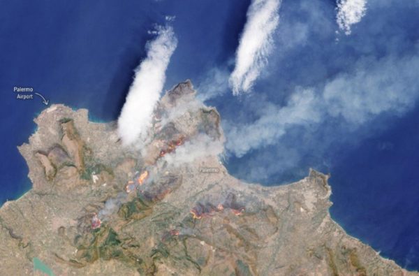 Sicilia ostaggio degli incendi, danni per decine di milioni: emergenza epocale