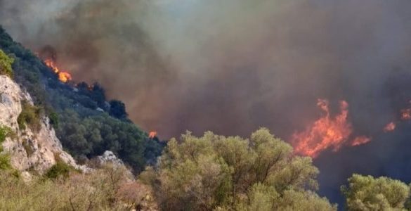 Siracusa, torna l'incubo incendi: fuoco vicino alla necropoli di Cassibile