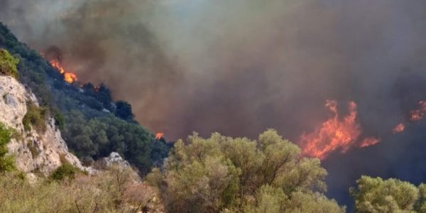 Siracusa, torna l'incubo incendi: fuoco vicino alla necropoli di Cassibile