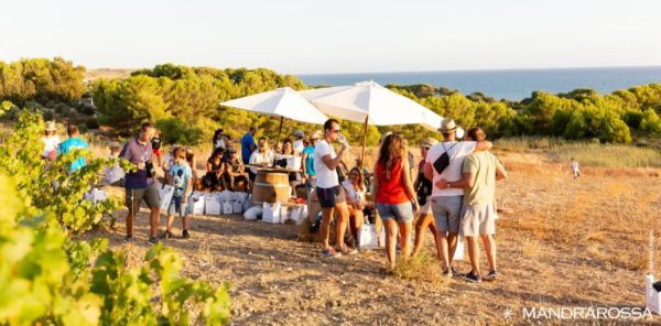 Torna Mandrarossa Vineyard tour a Menfi, un weekend tra mare e vigne