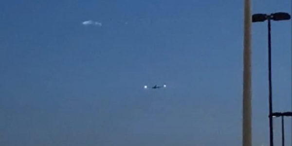 Un oggetto sul cielo di Genova: Ufo o gabbiano? È polemica e il centro mediterraneo ricorda l'avvistamento di Bolognetta