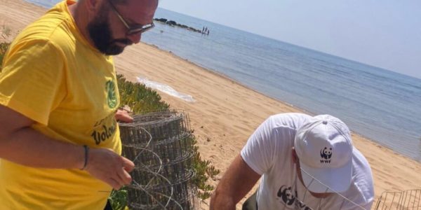 Tartaruga marina sceglie la spiaggia di Triscina per deporre le uova. Il video